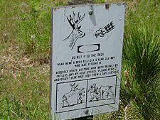 Warning...Don't feed deers sandwiches, or they will punch you in the face and head-butt you!